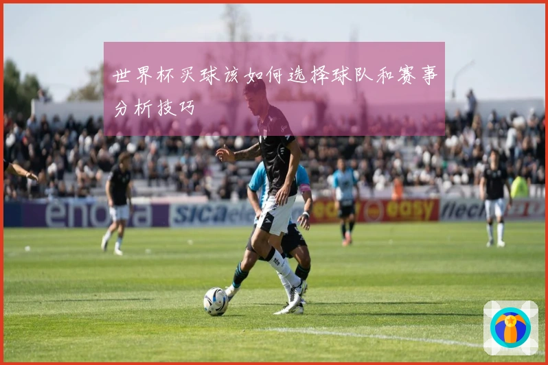 世界杯买球该如何选择球队和赛事分析技巧