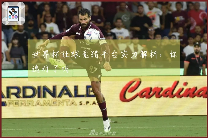 世界杯让球竞猜平台实力解析，你选对了吗