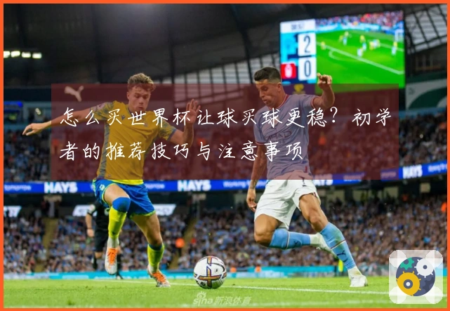 怎么买世界杯让球买球更稳？初学者的推荐技巧与注意事项