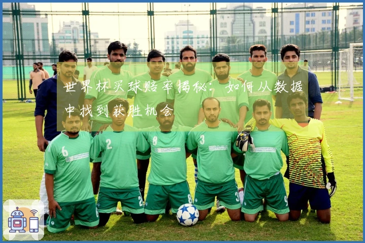 世界杯买球赔率揭秘：如何从数据中找到获胜机会