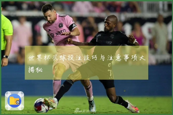 世界杯买球投注技巧与注意事项大揭秘