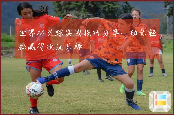 世界杯买球实战技巧分享，助你轻松赢得投注乐趣