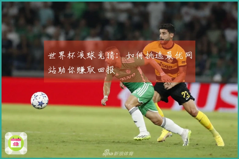 世界杯滚球竞猜：如何挑选最优网站助你赚取回报