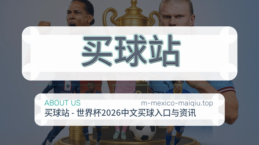 关于 买球站 团队与服务